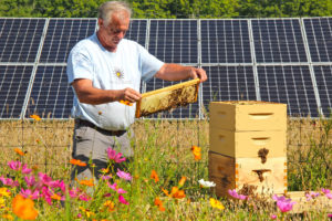 Mike Kiernan of Bee the Change inspects a honeybee hive, photo courtesy of Bee the Change